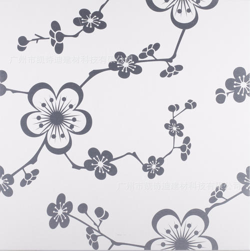 吊頂花紋鋁扣板-走廊吊頂選什么吊頂鋁扣板