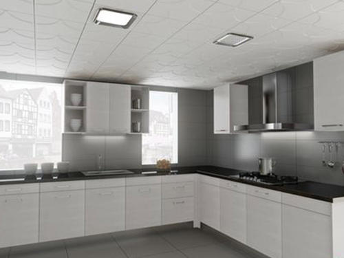 懷化利鑫集成吊頂-集成吊頂和鋁扣板吊頂?shù)囊蚓夒H會