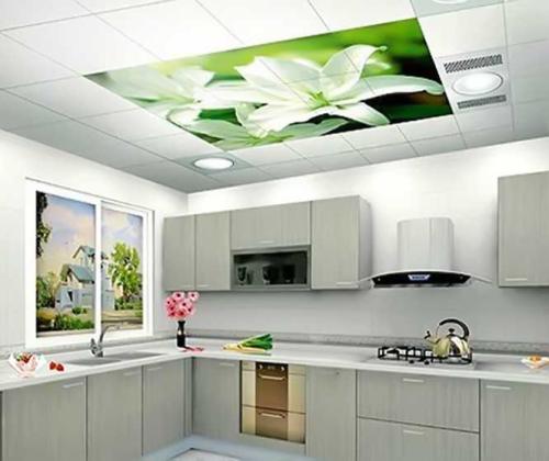 集成吊頂有哪幾種-集成吊頂扣板用什么材料好