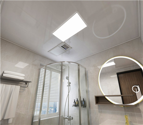 衛(wèi)生間吊頂實(shí)例 衛(wèi)生間吊頂實(shí)例