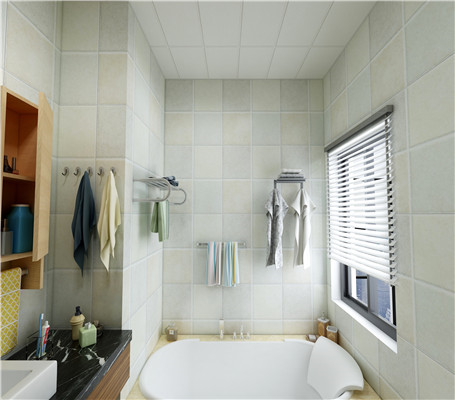 衛(wèi)生間吊頂實(shí)例 衛(wèi)生間吊頂實(shí)例