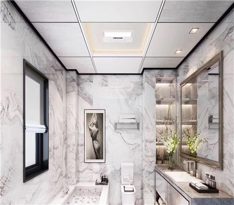 衛(wèi)生間吊頂實(shí)例 衛(wèi)生間吊頂實(shí)例