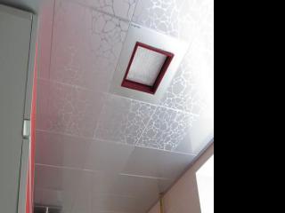 樹(shù)脂集成鋁扣板圖片-生態(tài)木和鋁扣板那個(gè)貴