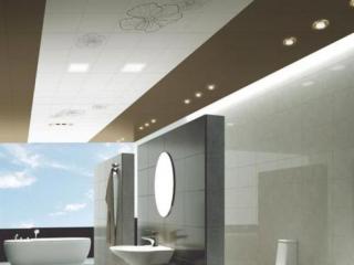 廚衛(wèi)鋁扣板吊頂價格是多少-吊頂多少錢一平方