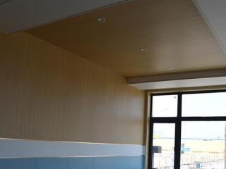 環(huán)保集成鋁扣板-新型環(huán)保建筑材料分為哪些