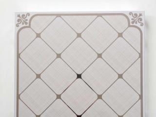 廚衛(wèi)鋁扣板吊頂材料-廚衛(wèi)吊頂常見(jiàn)材料