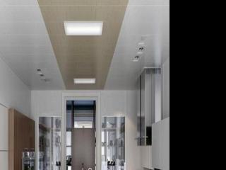 集成吊頂和仿集成吊頂-我站集成吊頂那一隊